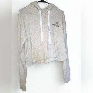 QUIET STORM Cropped Hoodie | Size Large | Like New